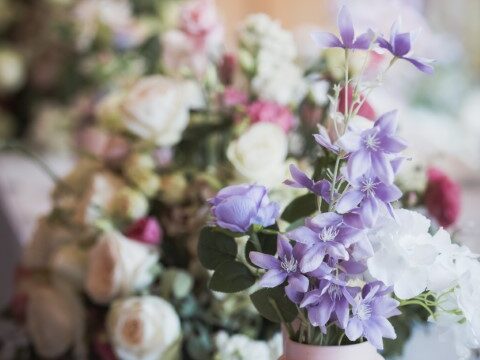 MJ22_W(2)242 (Small)